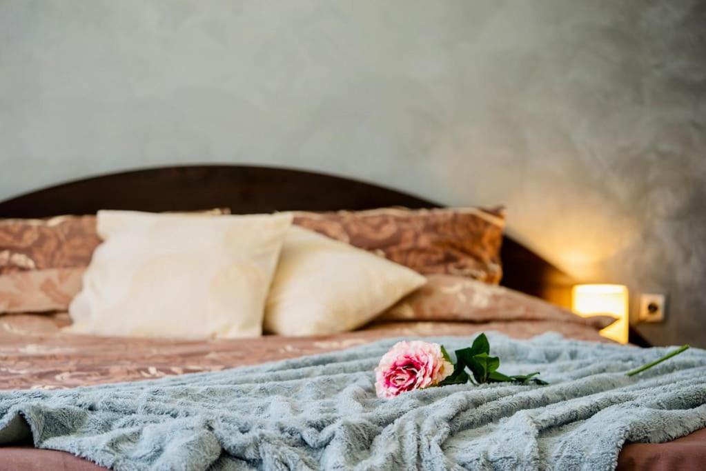 Cozy 2-Bedroom Flat In The Very Center Of ソフィア エクステリア 写真